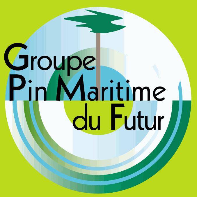 logo GIS GPMF